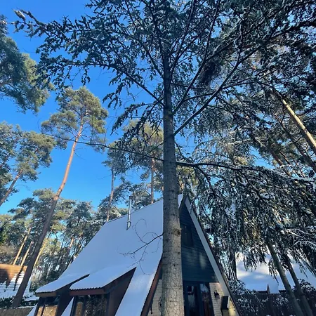 Tatil Evi Boshuisje Pinus Sonnevijver Residences *